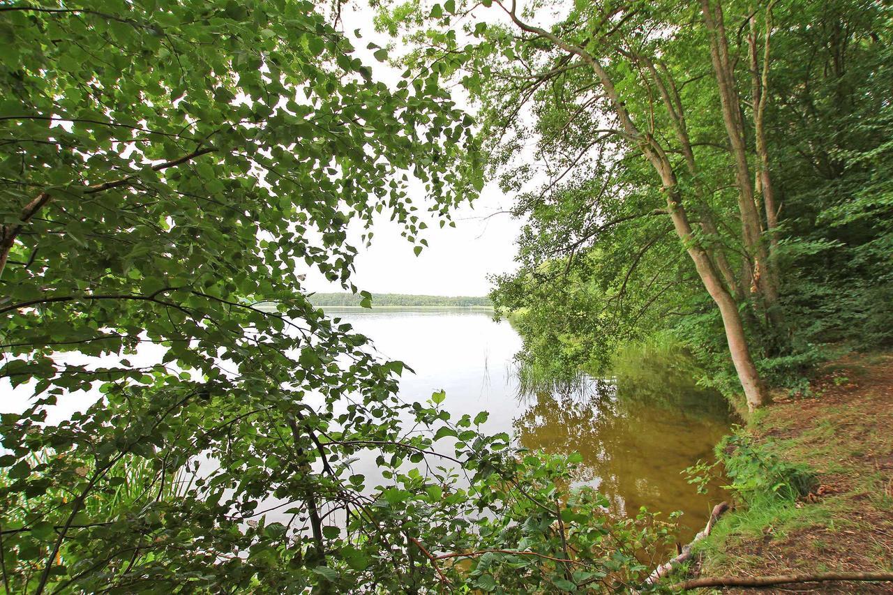 Ferienwohnung Im Forsthaus Am See Schwarz 외부 사진